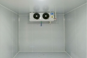 重慶南岸區-小型醫藥冷庫建造工程